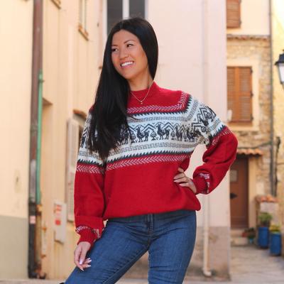 Pull Homme-Femme Amérique du Sud Lama - Inka Products