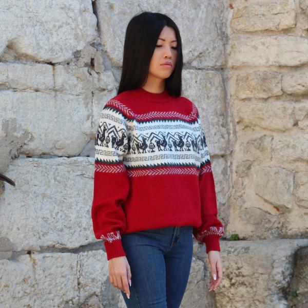 Pull Homme-Femme Amérique du Sud Lama - Inka Products